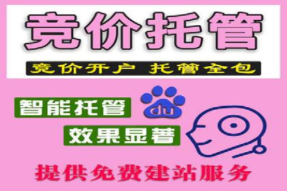 某企业SEM代运营全记录：提升转化率的秘诀